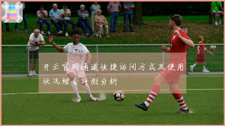 开云官网通道快捷访问方式及使用状况综合评测分析