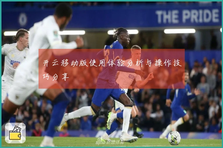 开云移动版使用体验分析与操作技巧分享